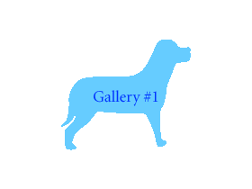 Gallery #1